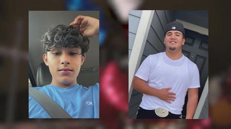 Texas boy, 14, hit and killed after leading police on  .